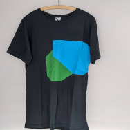 GREEN & BLUE 2011 T-SHIRT (CHARCOAL)