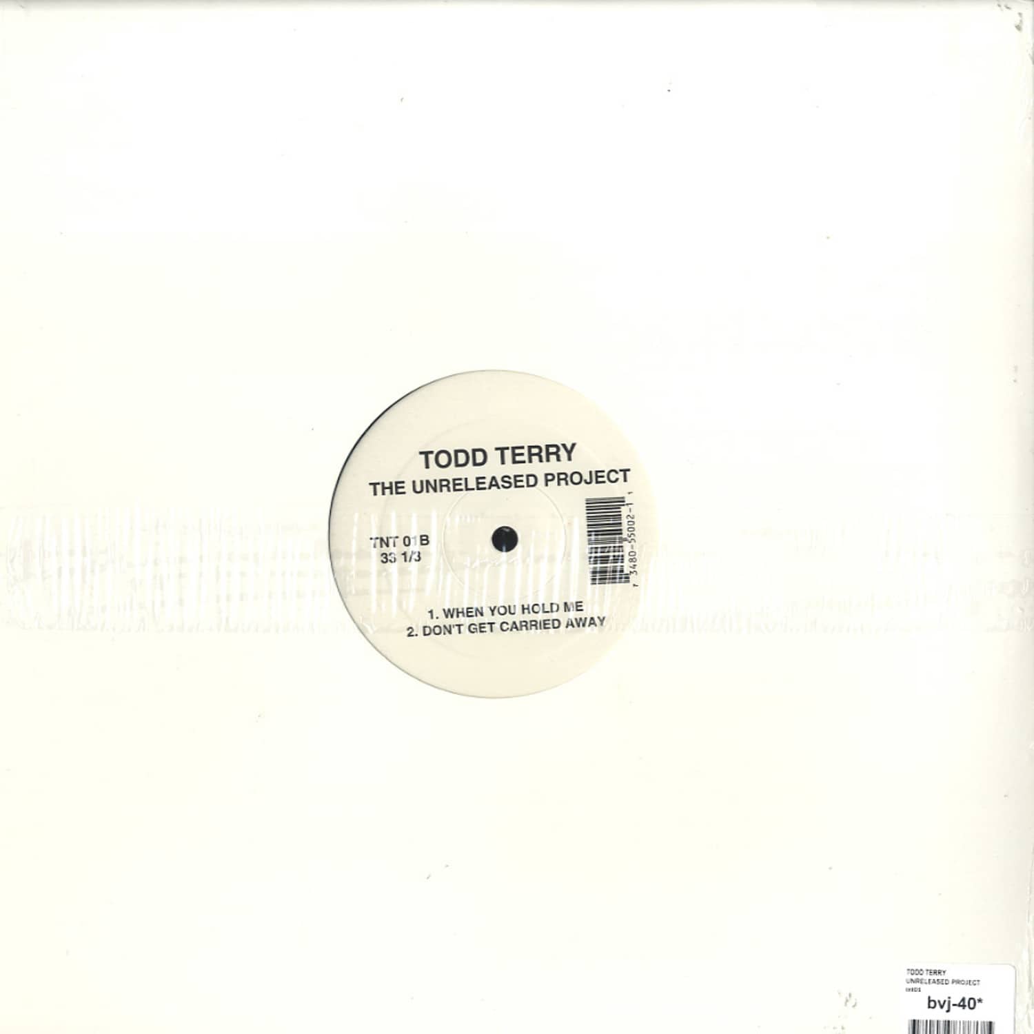 TODD TERRY 『UNRELEASED PROJECT EP 2』 Todd Terry – Unreleased Project EP 2 – Vinyl (12