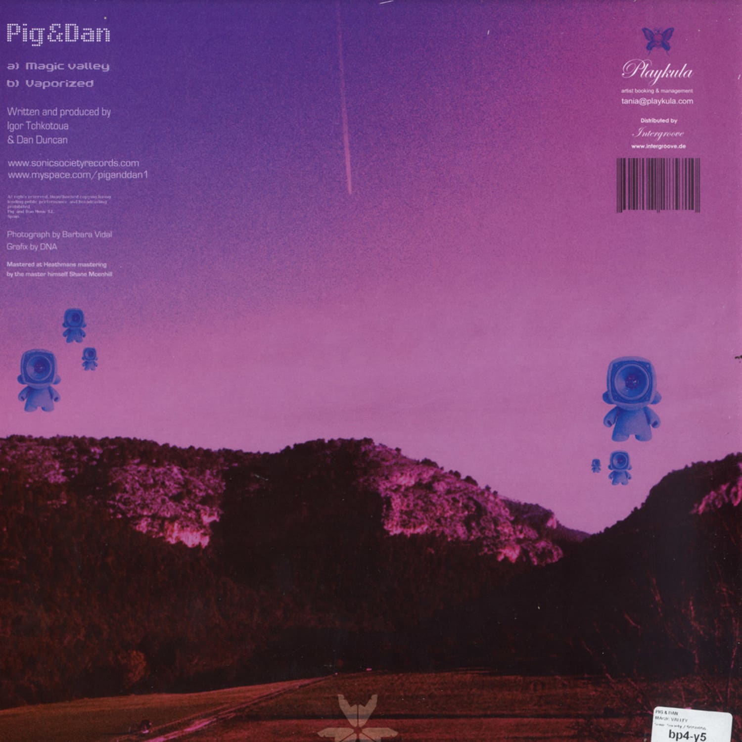 Pig & Dan - MAGIC VALLEY / Sonic Society / SOS0056 | 12 Inch Vinyl