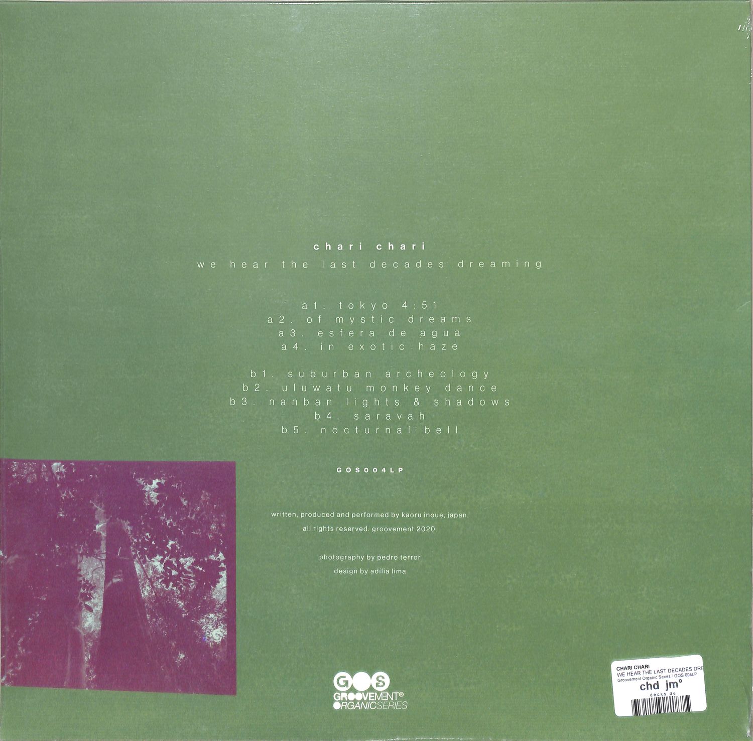 Chari Chari - WE HEAR THE LAST DECADES DREAMING