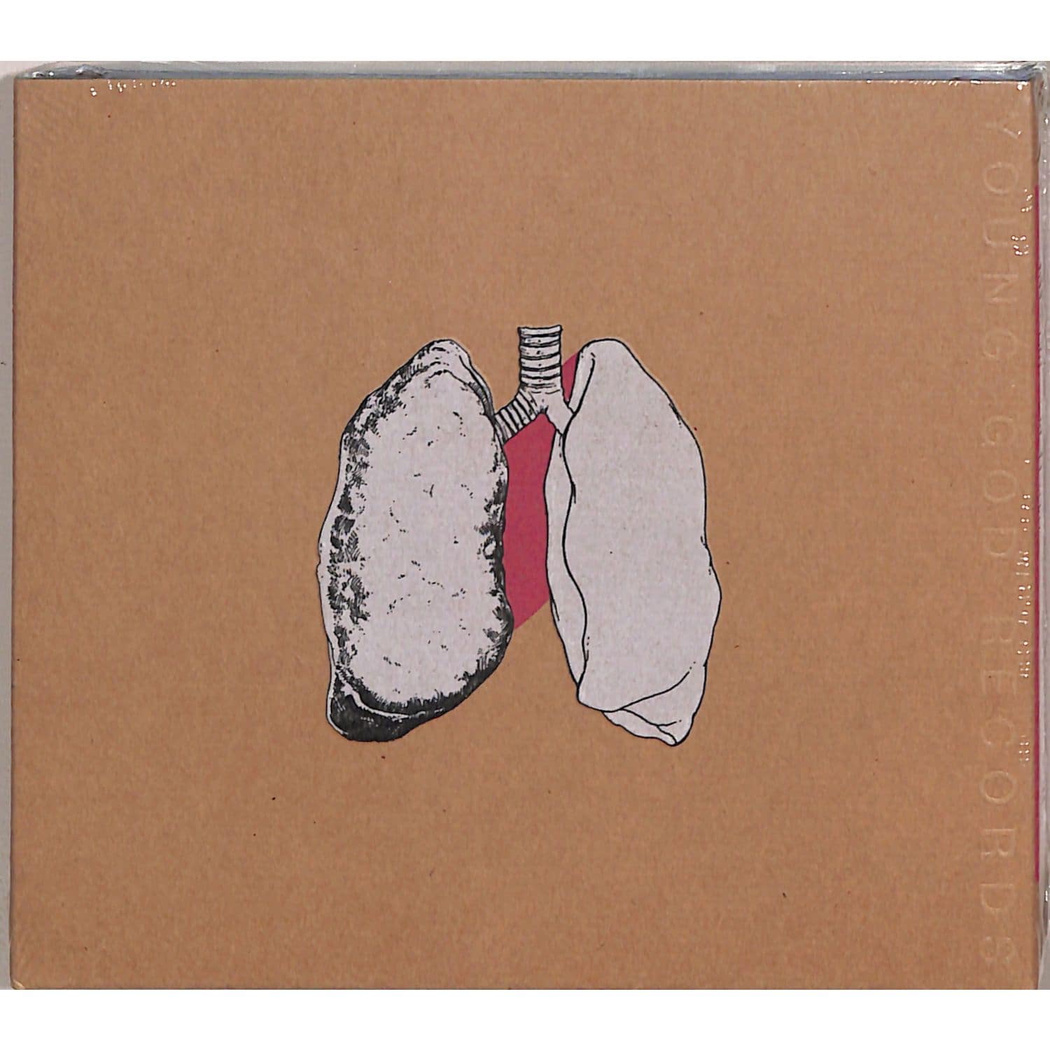 Swans - THE BEGGAR