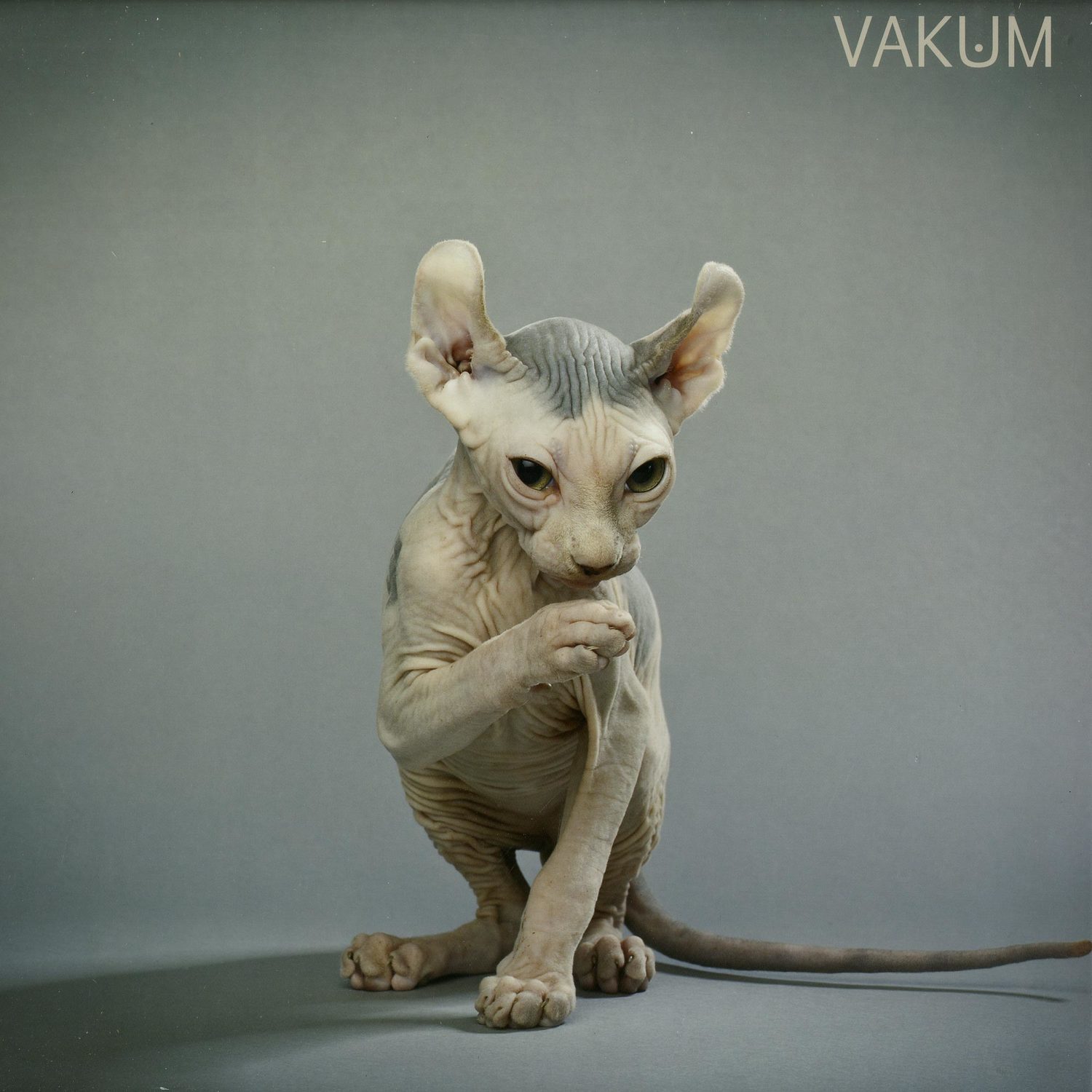 Vakum - KNOT EP