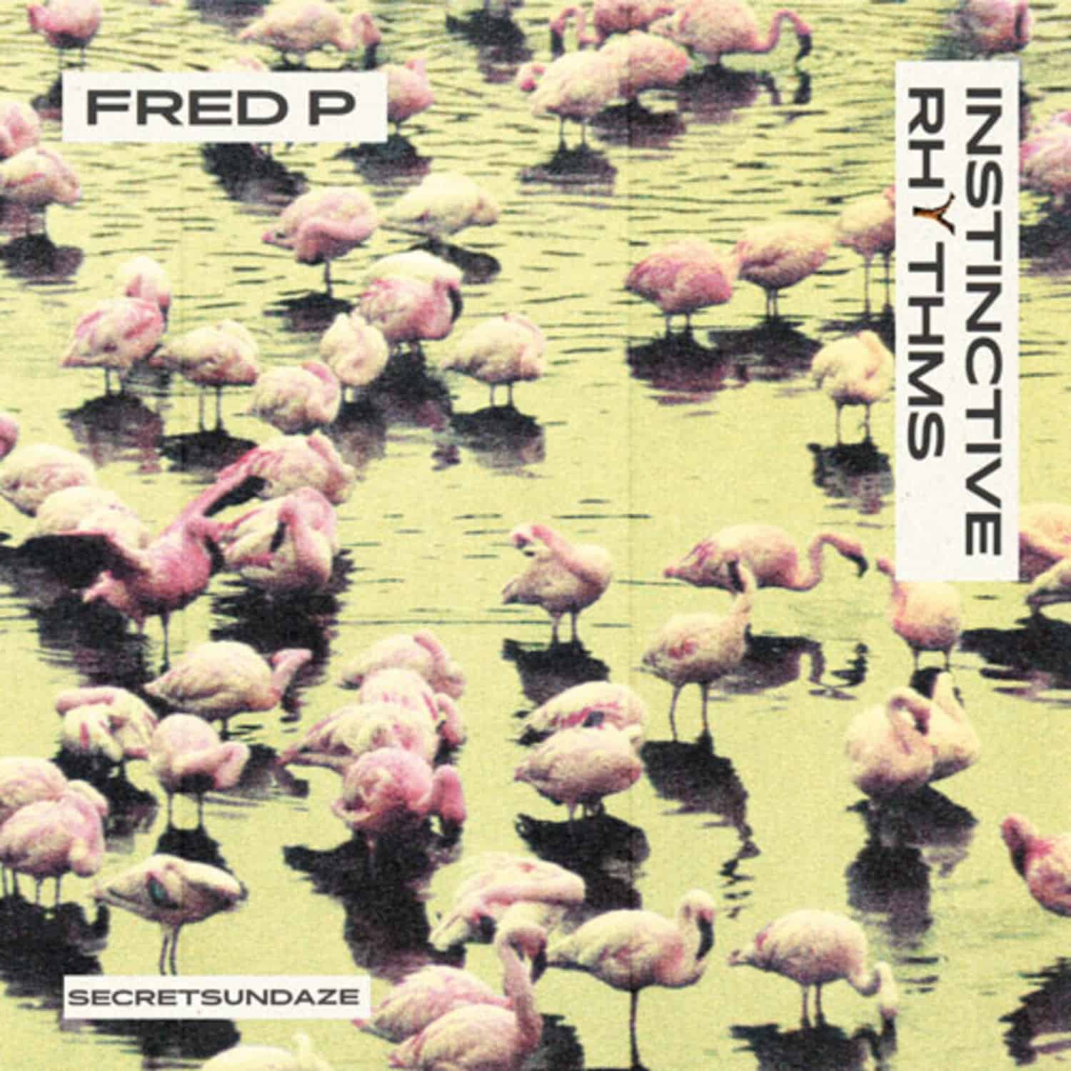 Fred P - INSTINCTIVE RHYTHMS