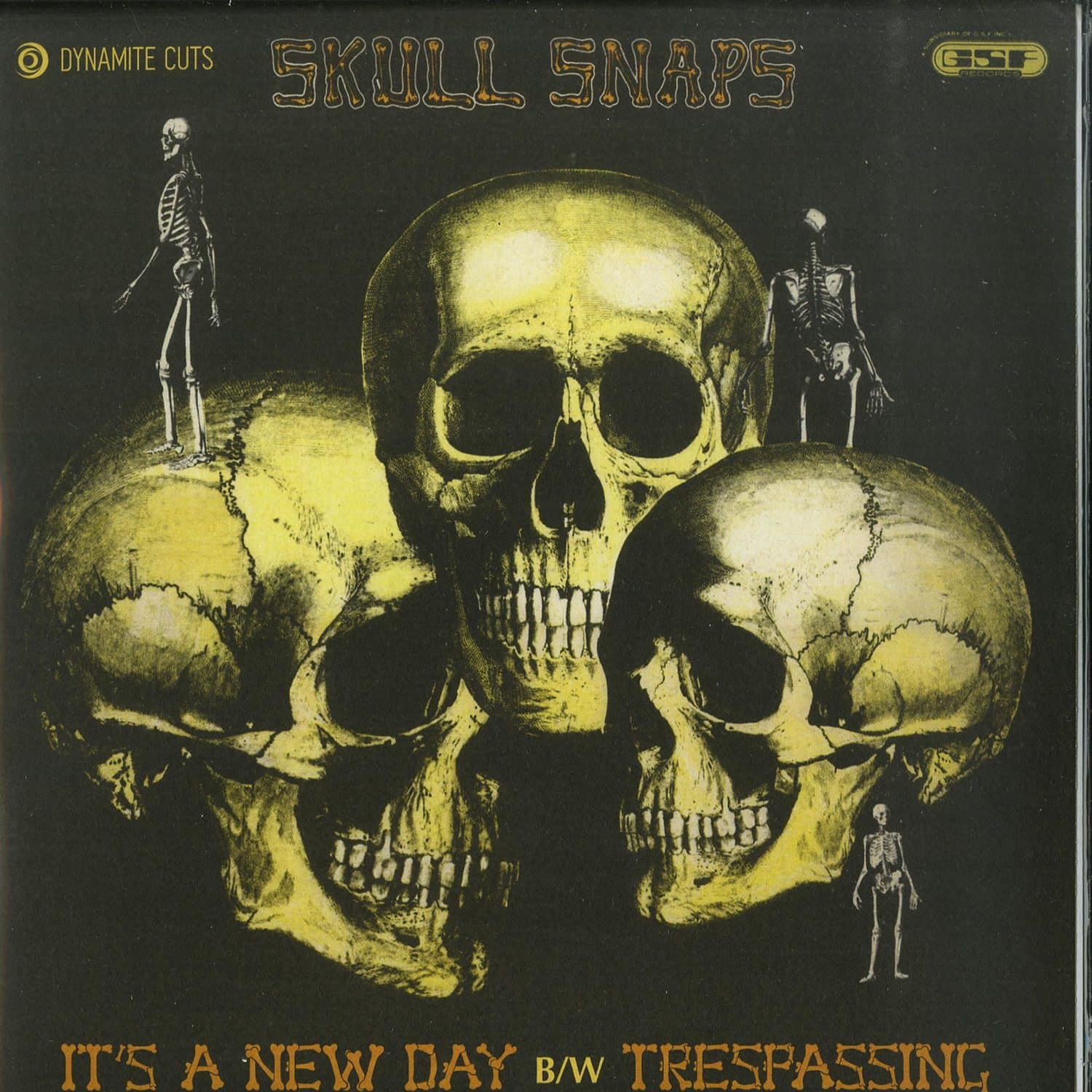 Skull Snaps - ITS A NEW DAY / TRESPASSING 