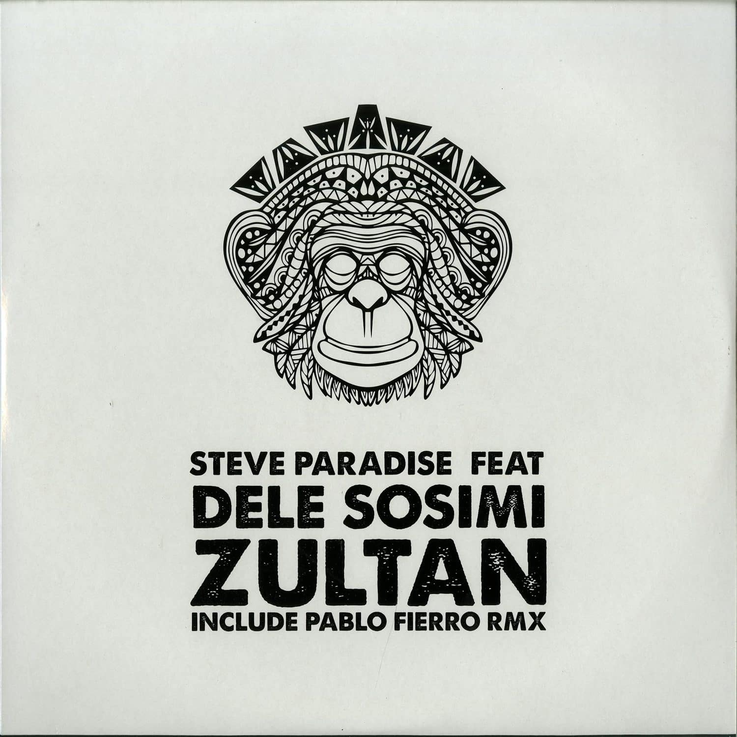 Steve Paradise feat. Dele Sosimi - ZULTAN