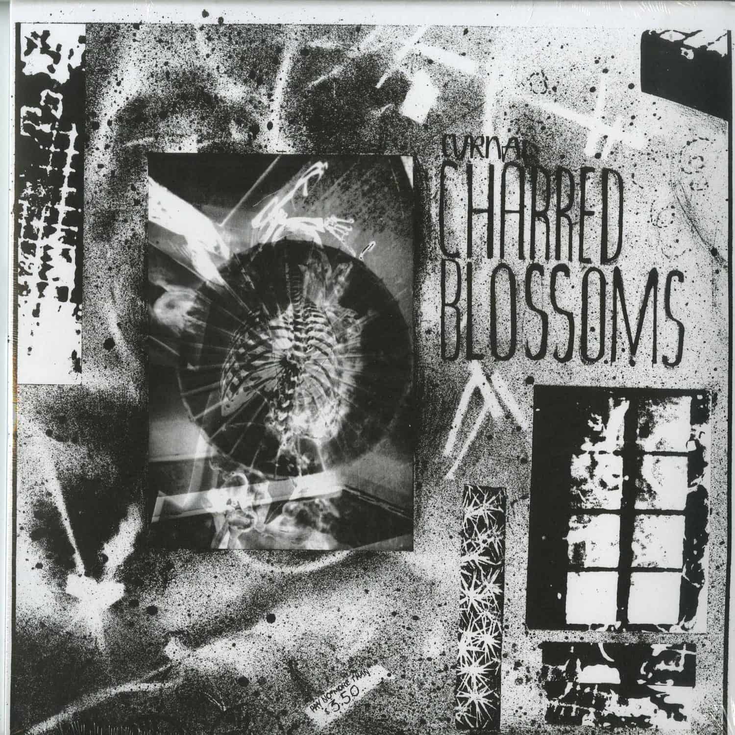 Cyrnai - CHARRED BLOSSOMS 