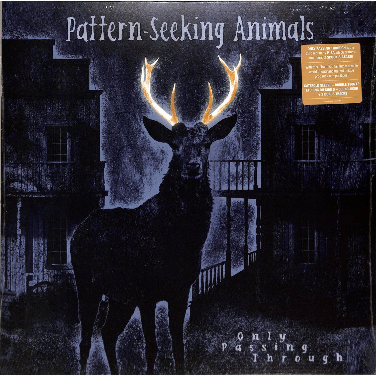 Pattern-Seeking Animals - ONLY PASSING THROUGH 