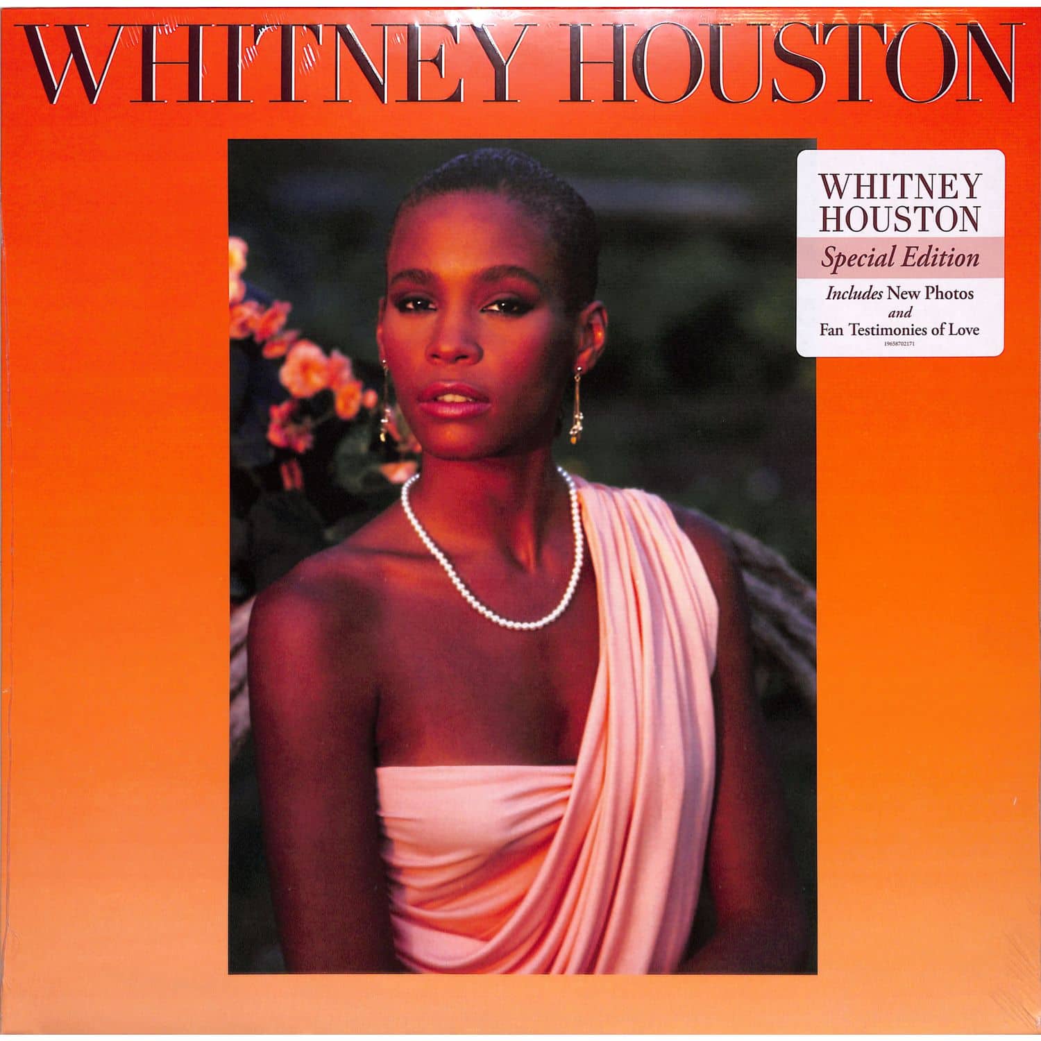 Whitney Houston - WHITNEY HOUSTON 