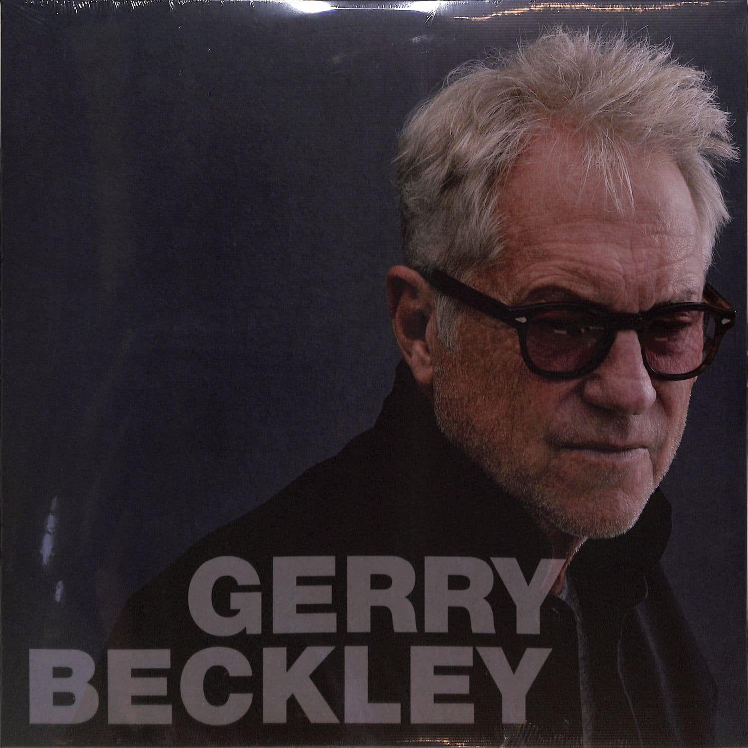 Gerry Beckley - GERRY BECKLEY 