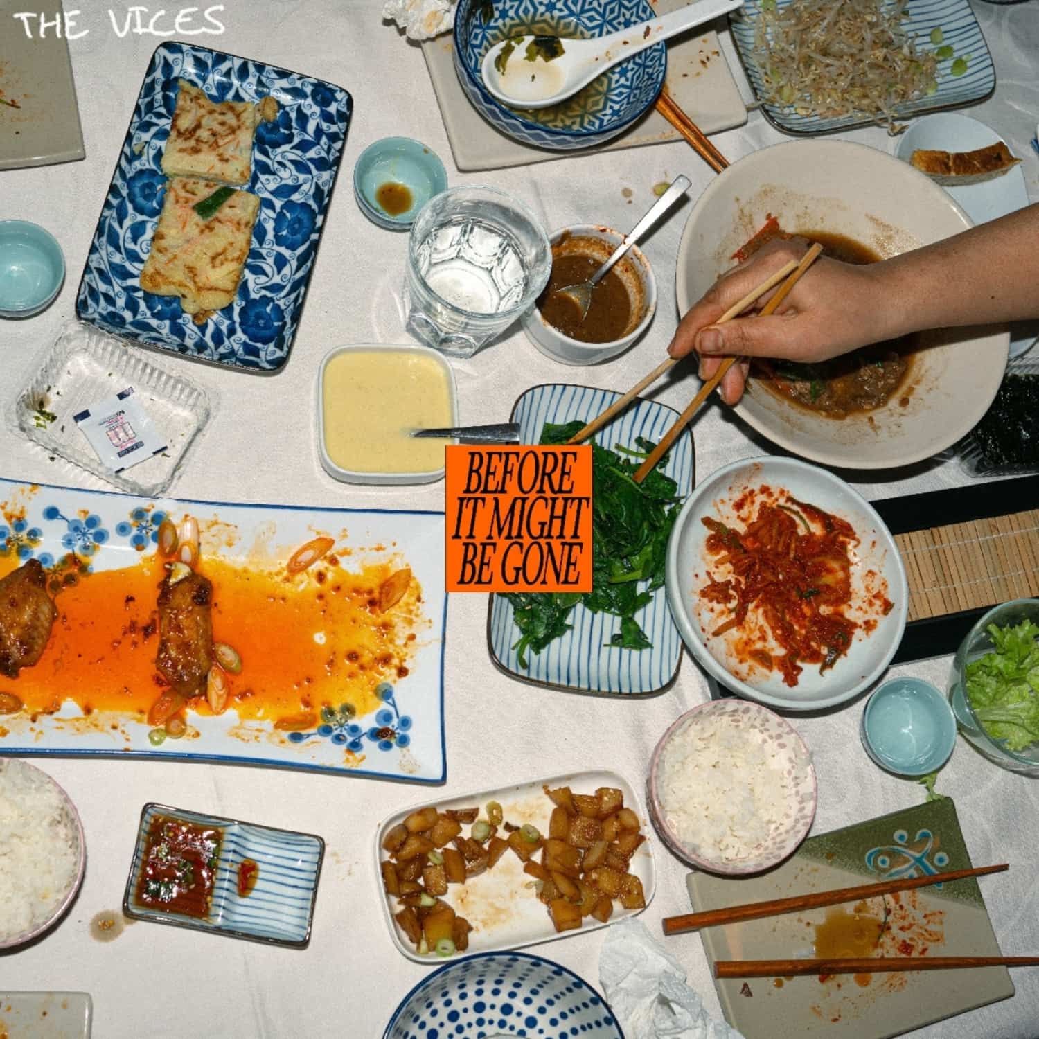 Vices - BEFORE IT MIGHT BE GONE 