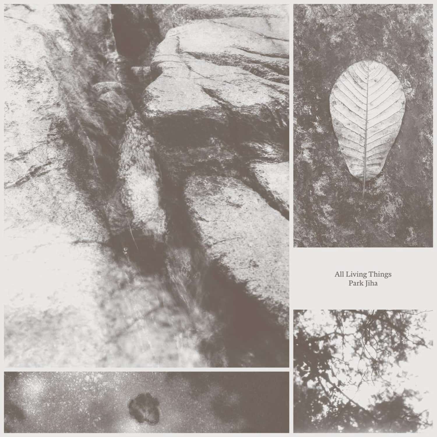 Jiha Park - ALL LIVING THINGS 