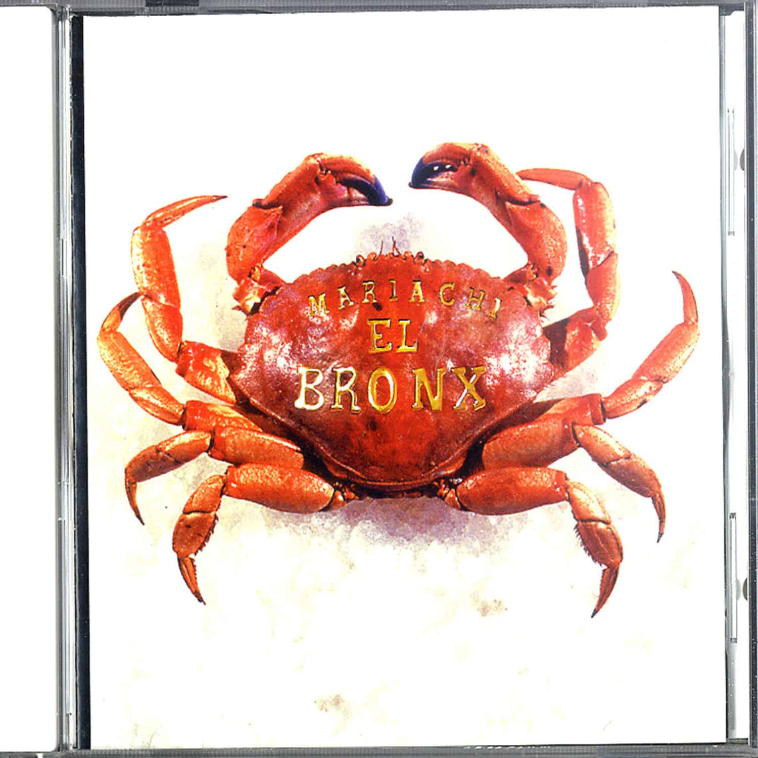 Mariah Chi - EL BRONX 