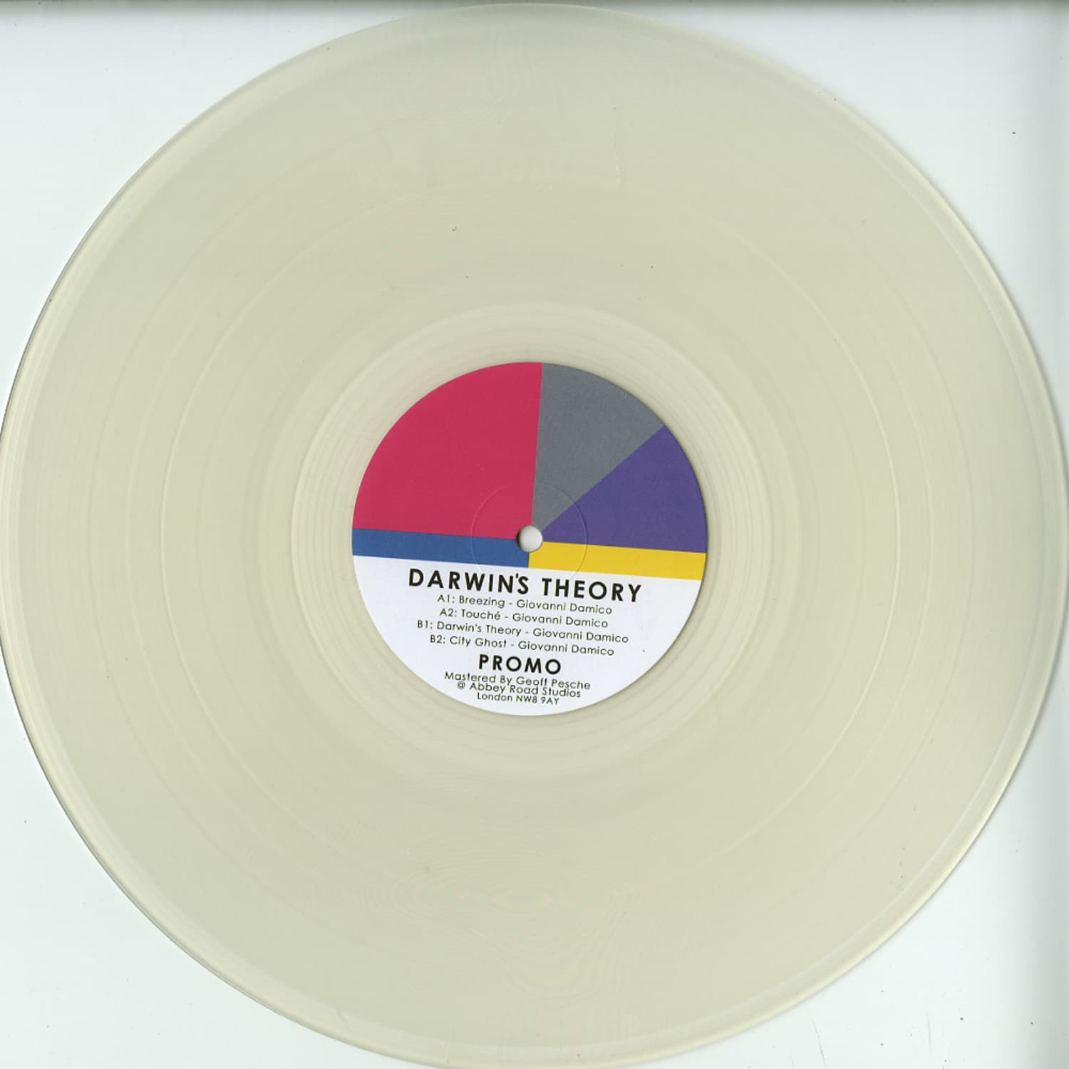 Giovanni Damico - DARWINS THEORY