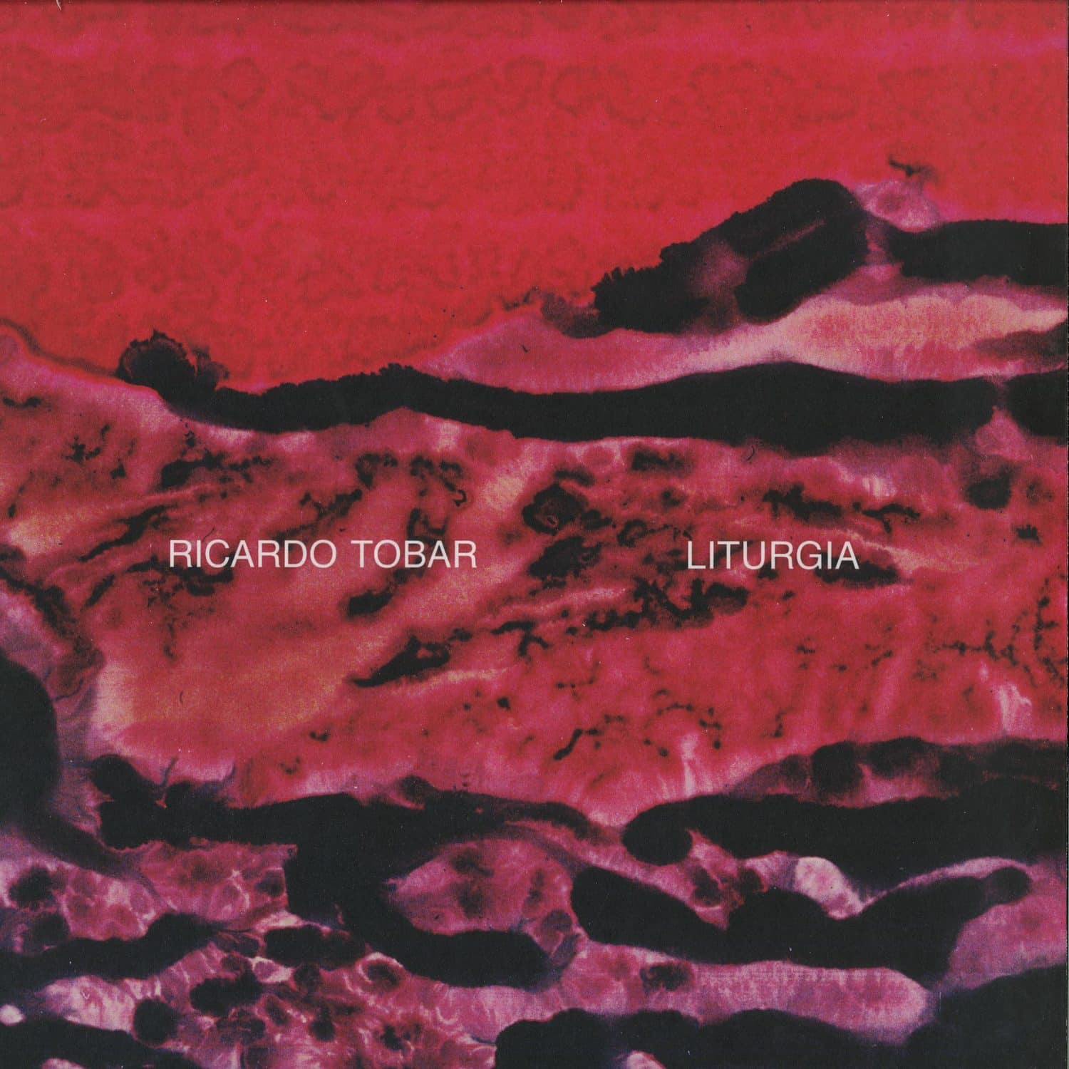 Ricardo Tobar - LITURGIA