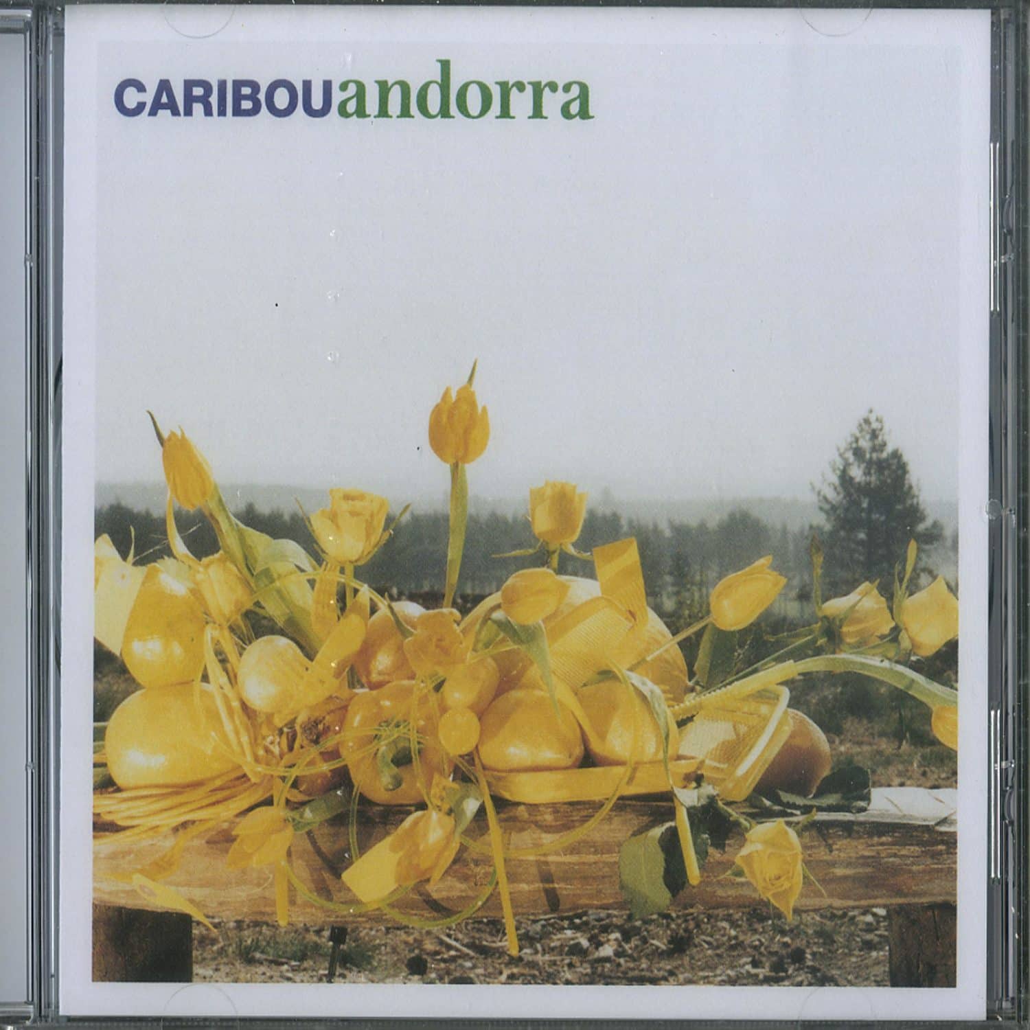 Caribou - ANDORRA 