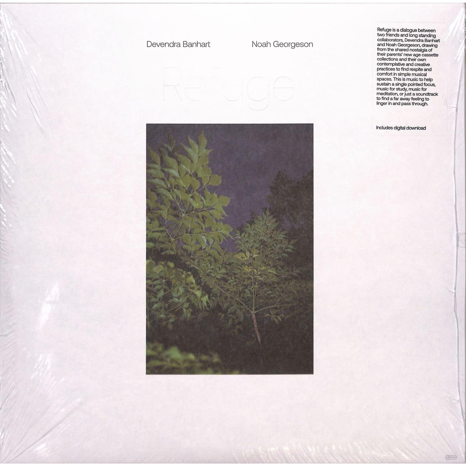 Devendra Banhart & Noah Georgeson - REFUGE 