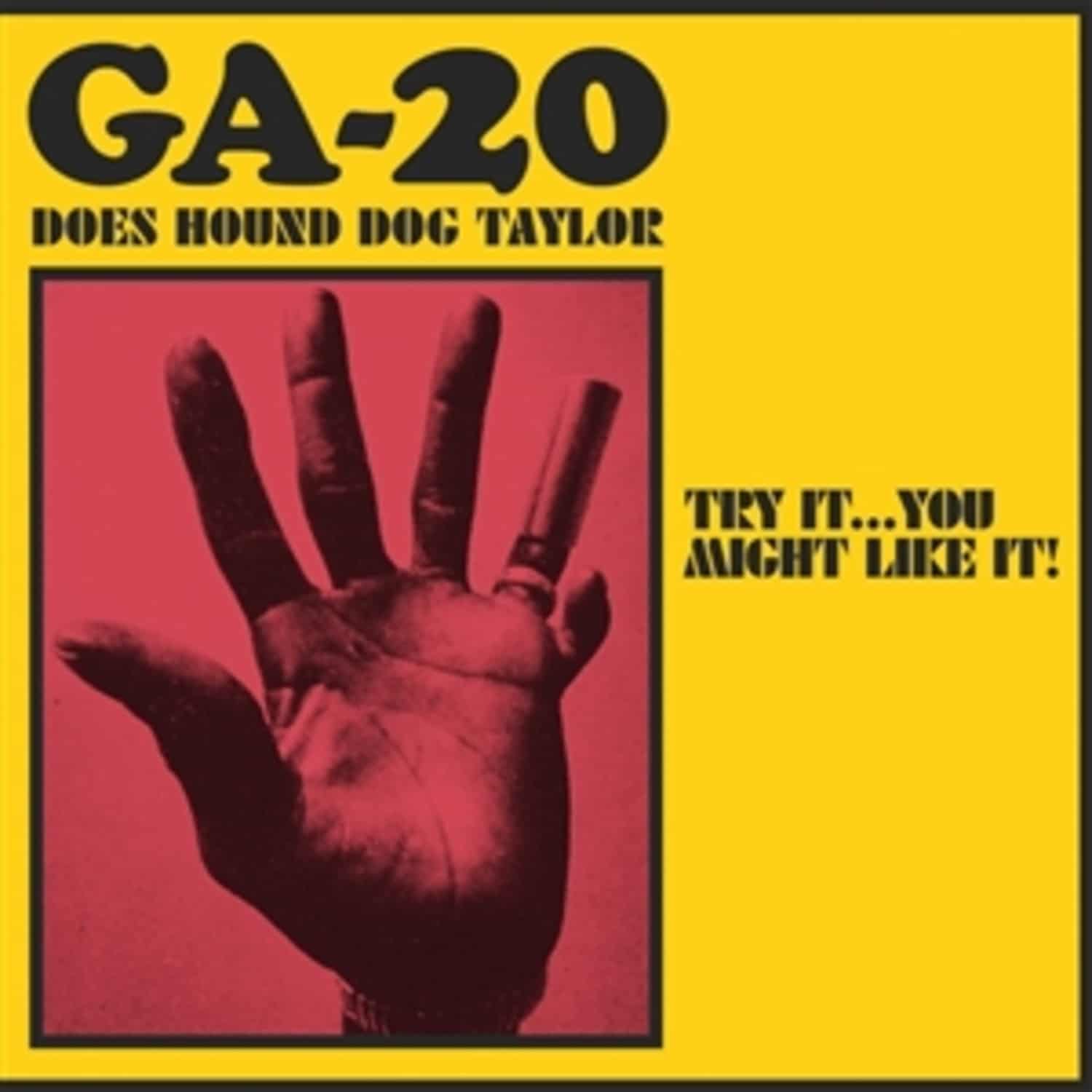 GA-20 - TRY IT... YOU MIGHT LIKE IT: GA-20 DOES HOUND DOG TAYLOR 