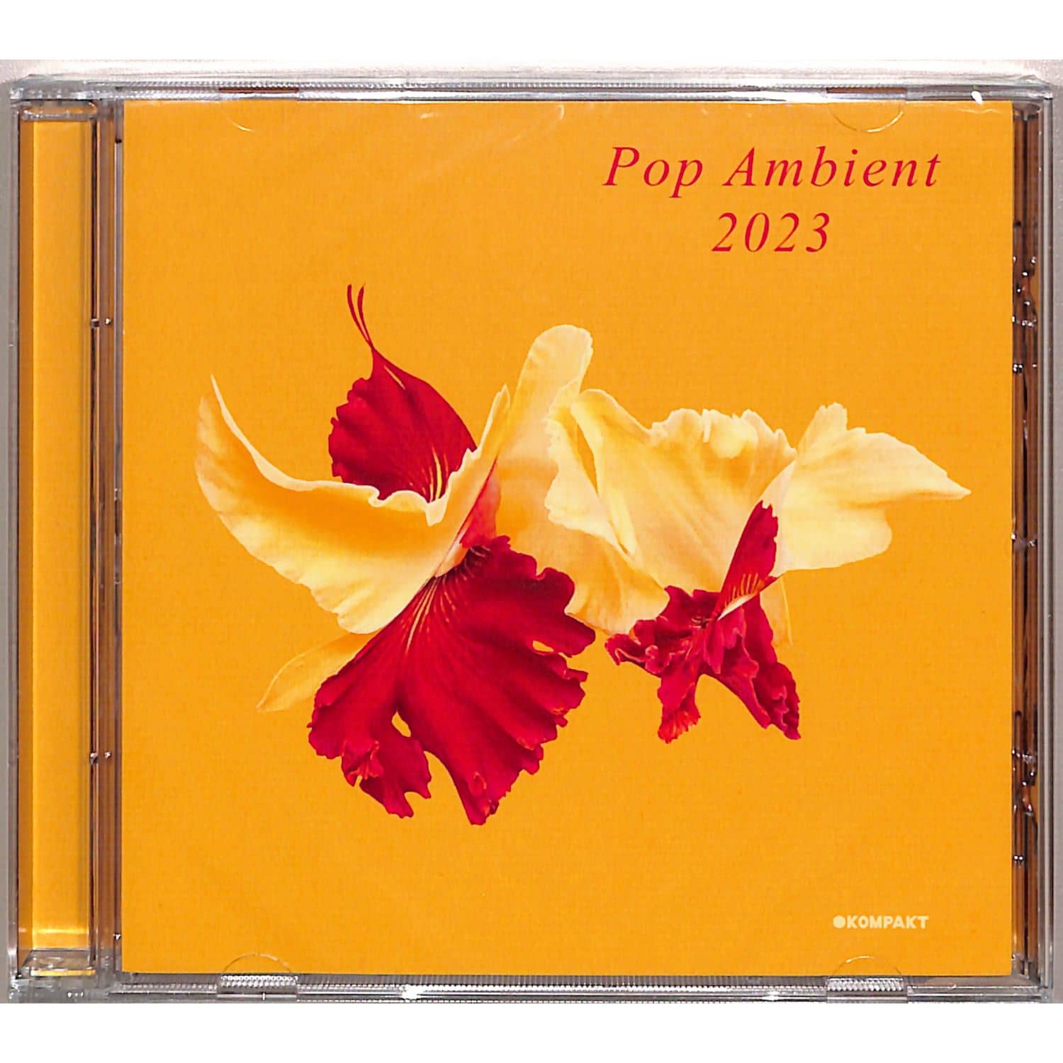 Various Artists - POP AMBIENT 2023 