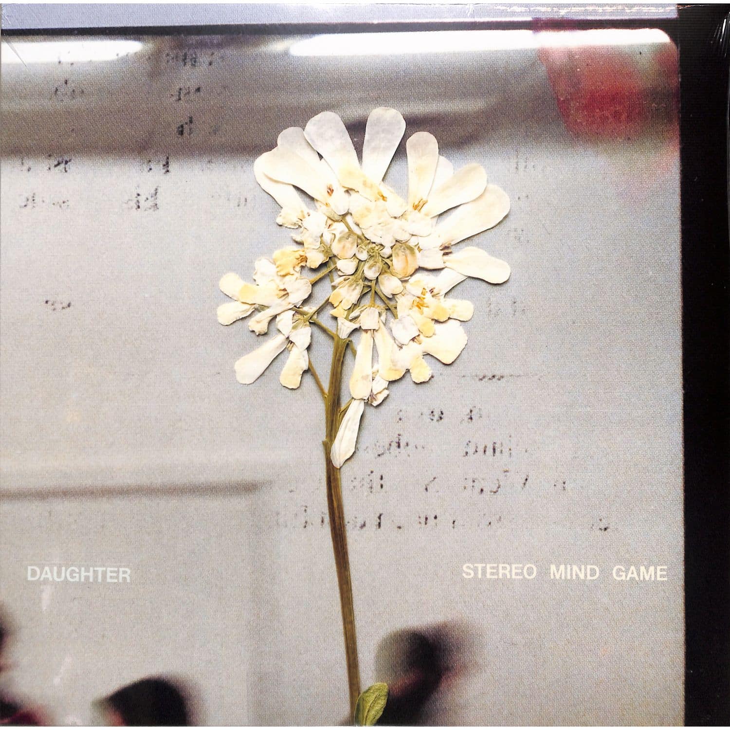 Daughter - STEREO MIND GAME 
