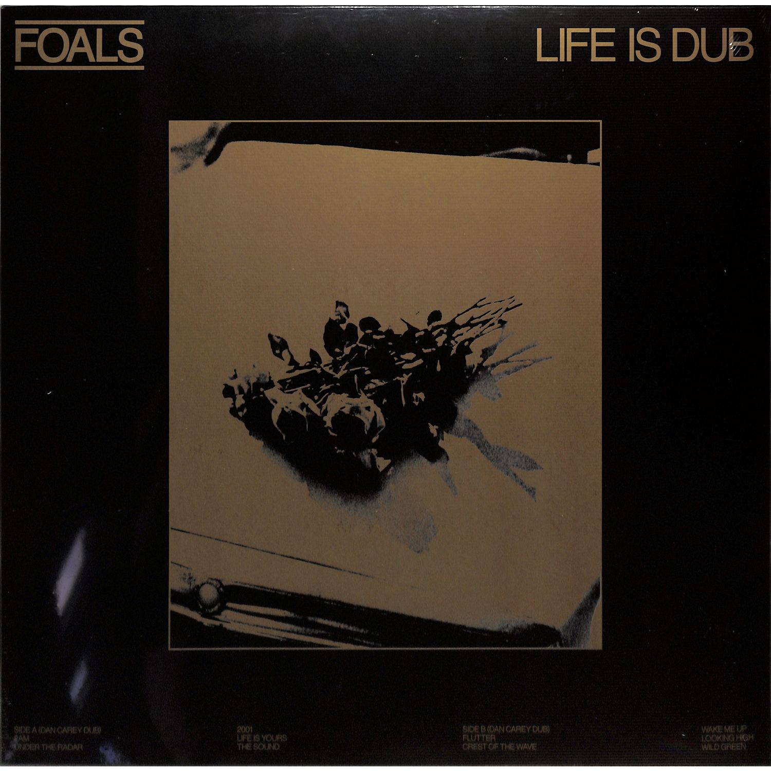 Foals - LIFE IS DUB 