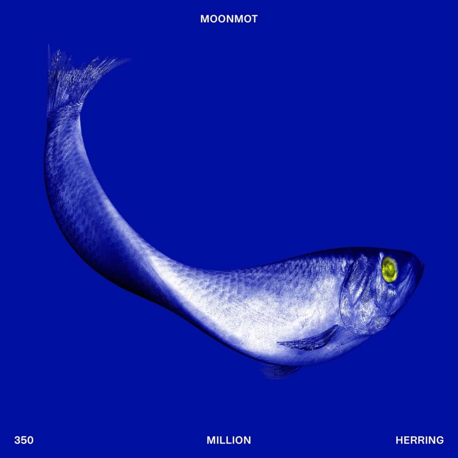 Moonmot - 350 MILLION HERRING 