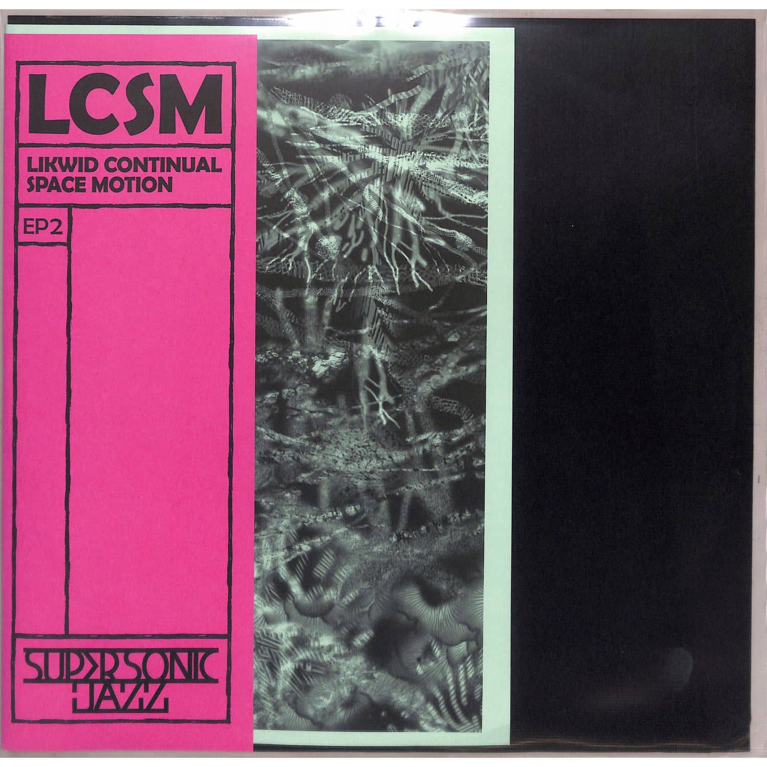 LCSM - EP 2