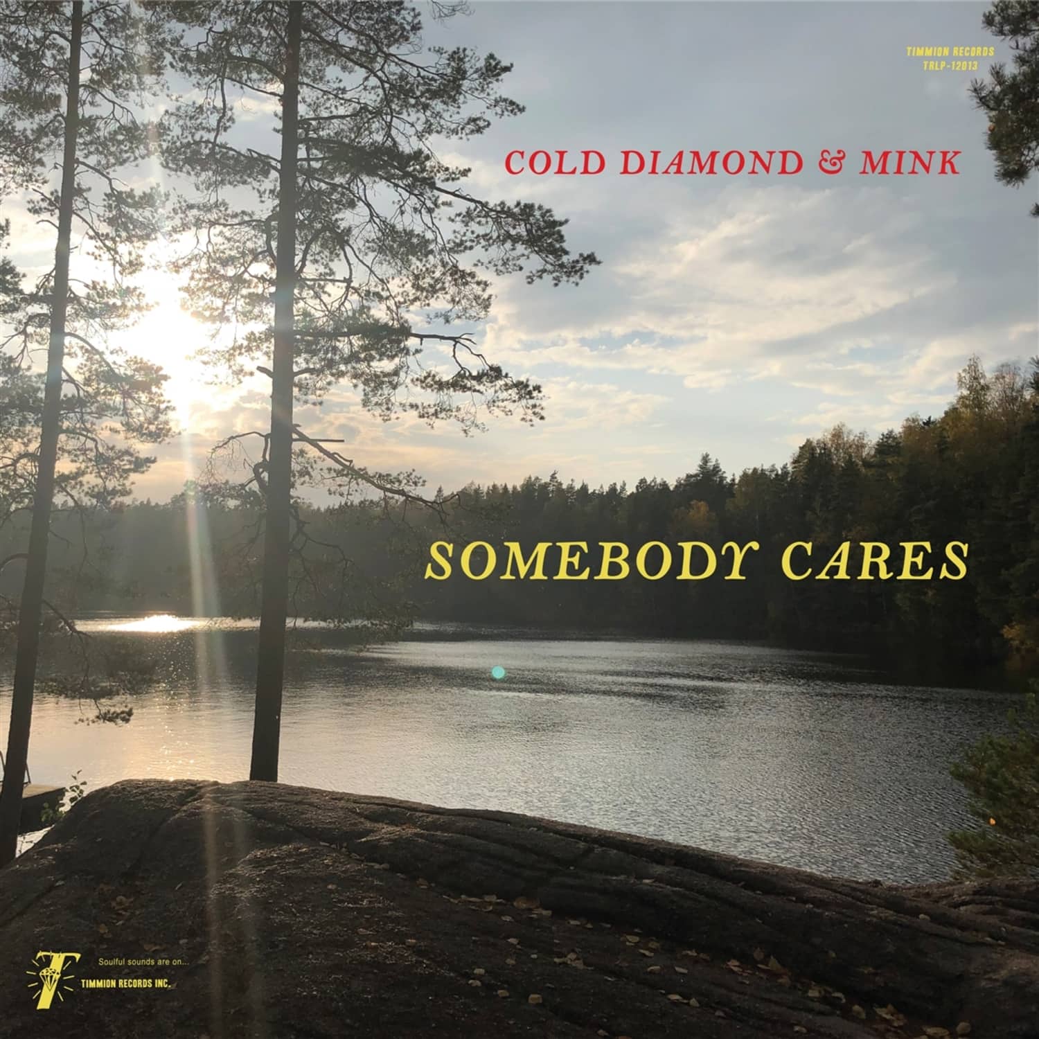 Cold Diamond & Mink - SOMEBODY CARES 