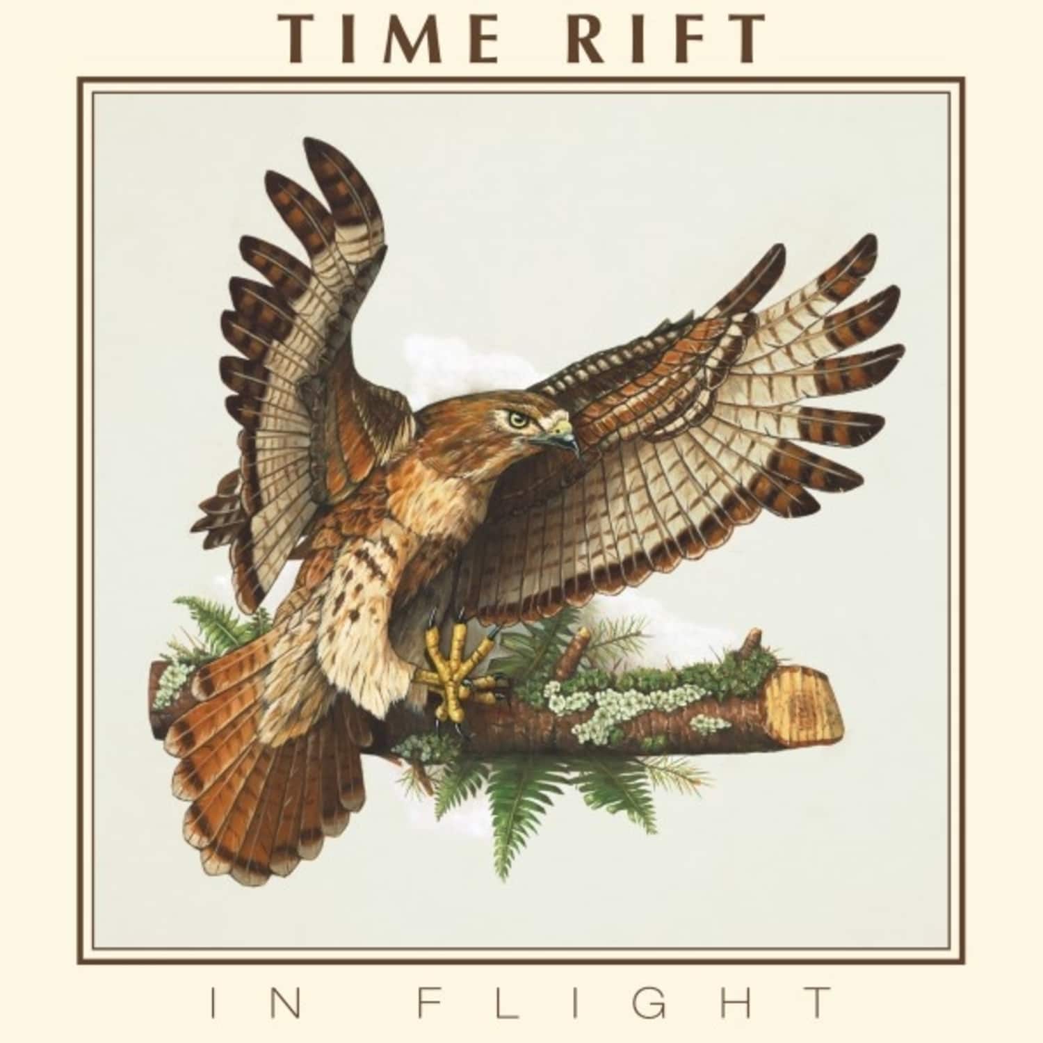 Time Rift - IN FLIGHT 