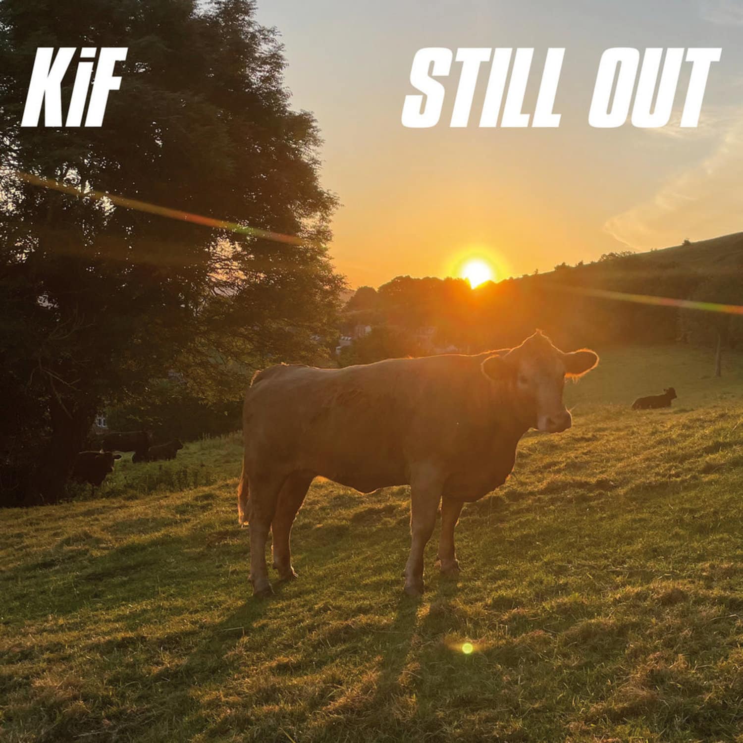 KiF - STILL OUT 
