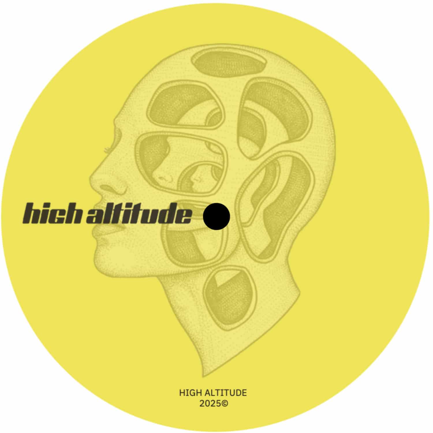 Various Artists - HIGH ALTITUDE 002