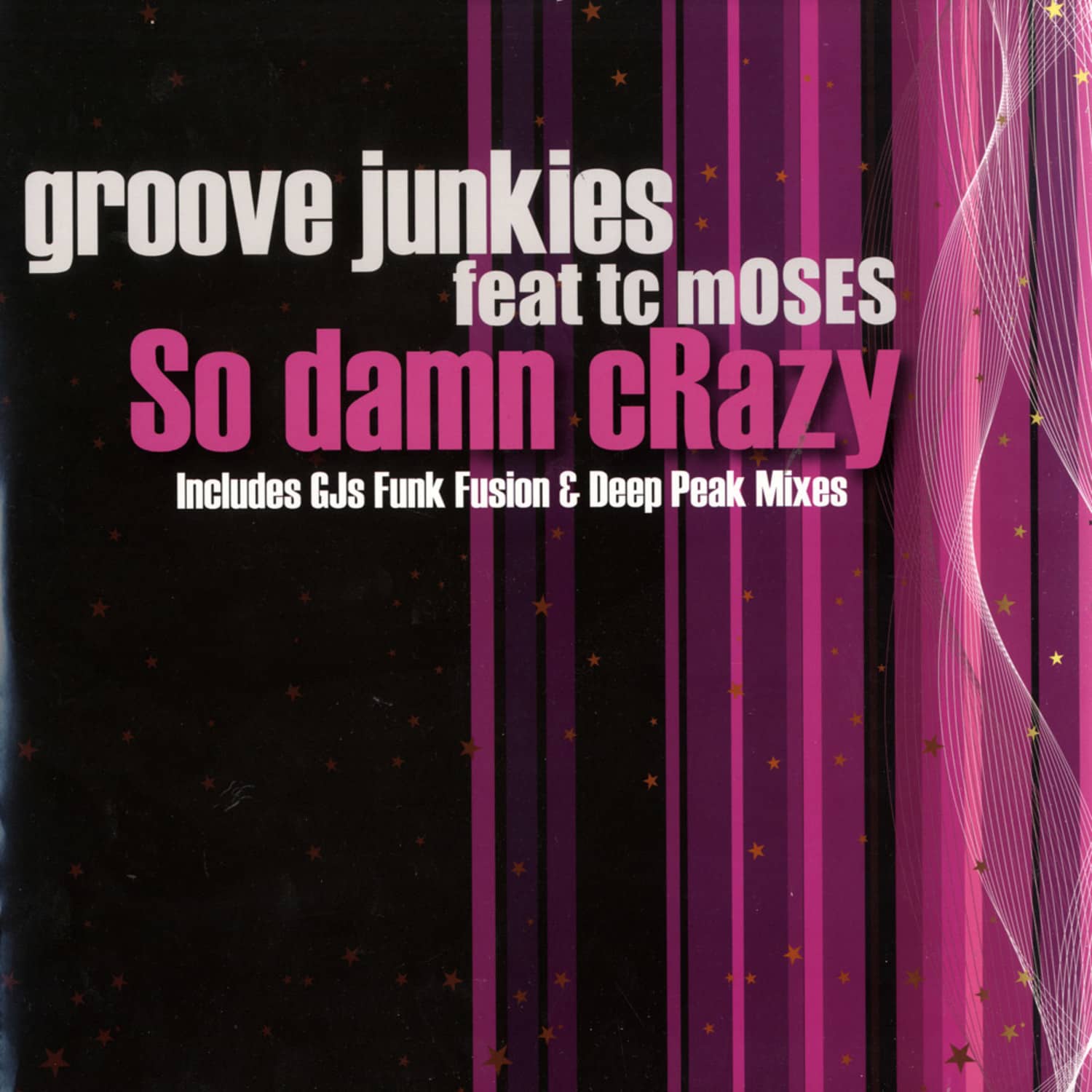 Groove Junkies - SO DAMN CRAZY