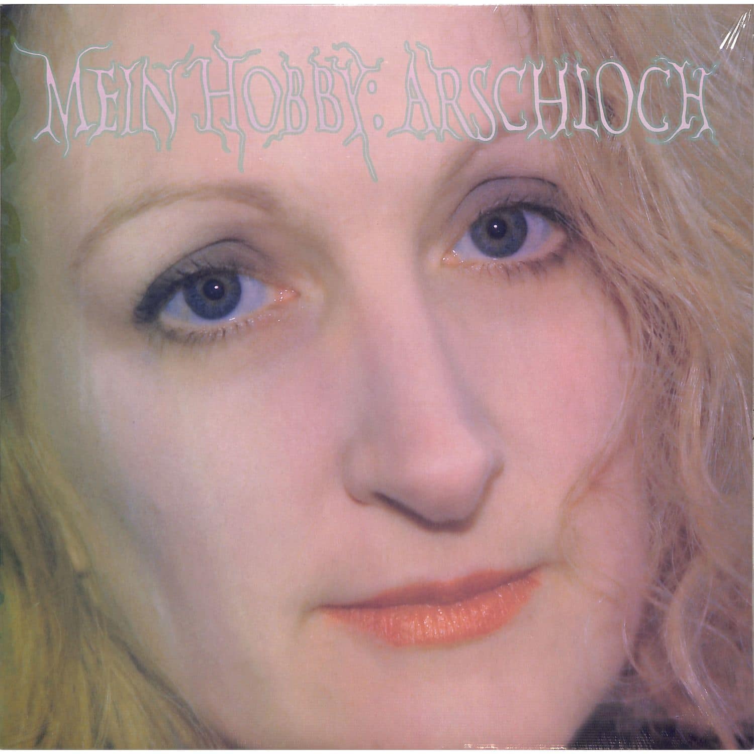 Hgicht - MEIN HOBBY - ARSCHLOCH 