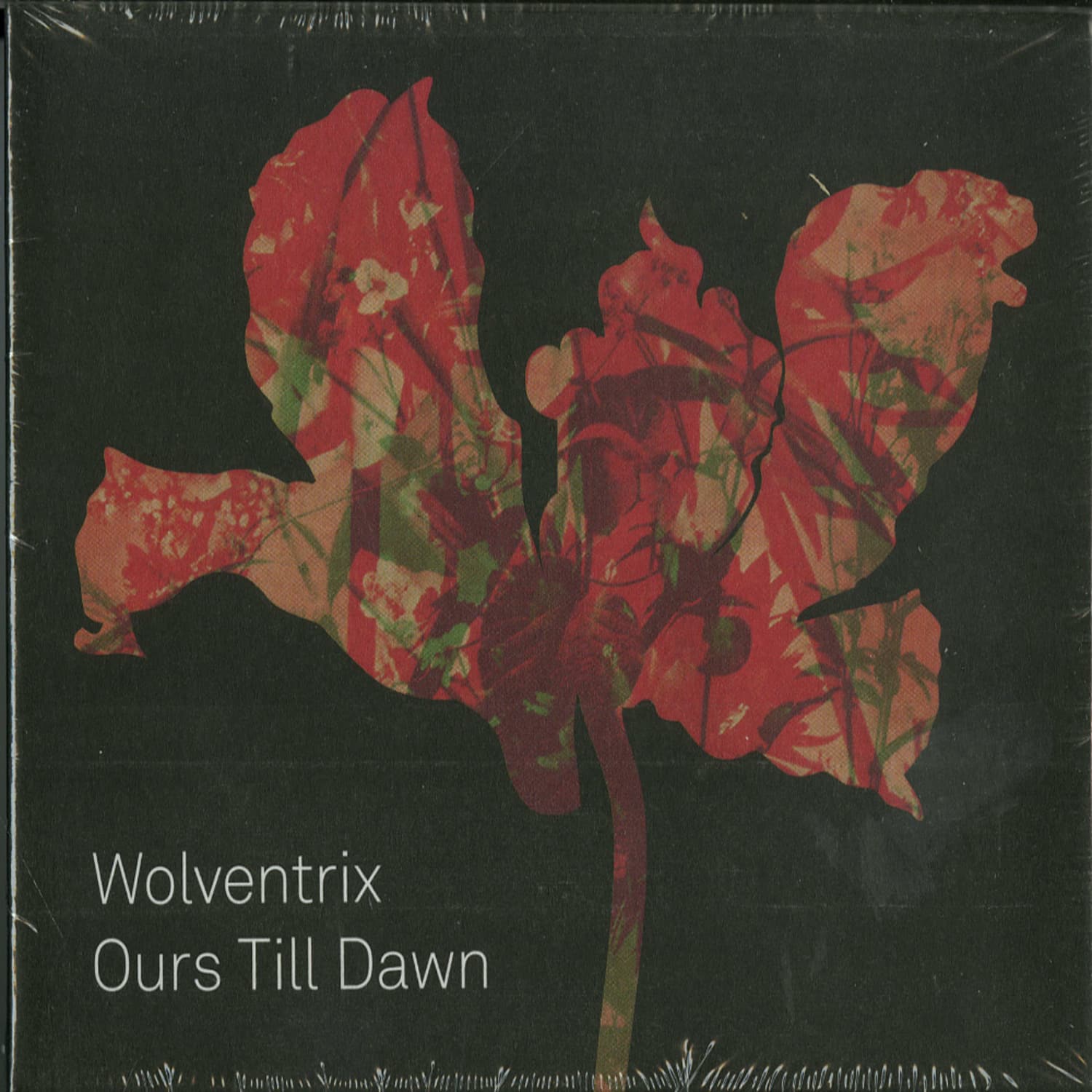 Wolventrix - OURS TILL DAWN 