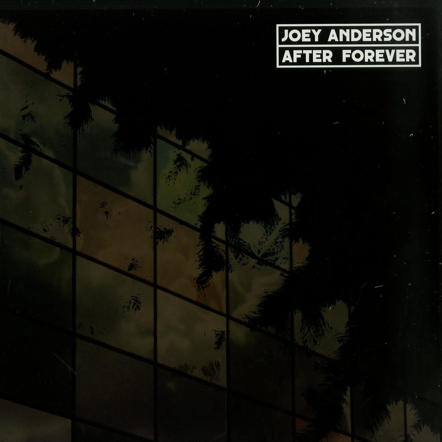 Joey Anderson - AFTER FOREVER 