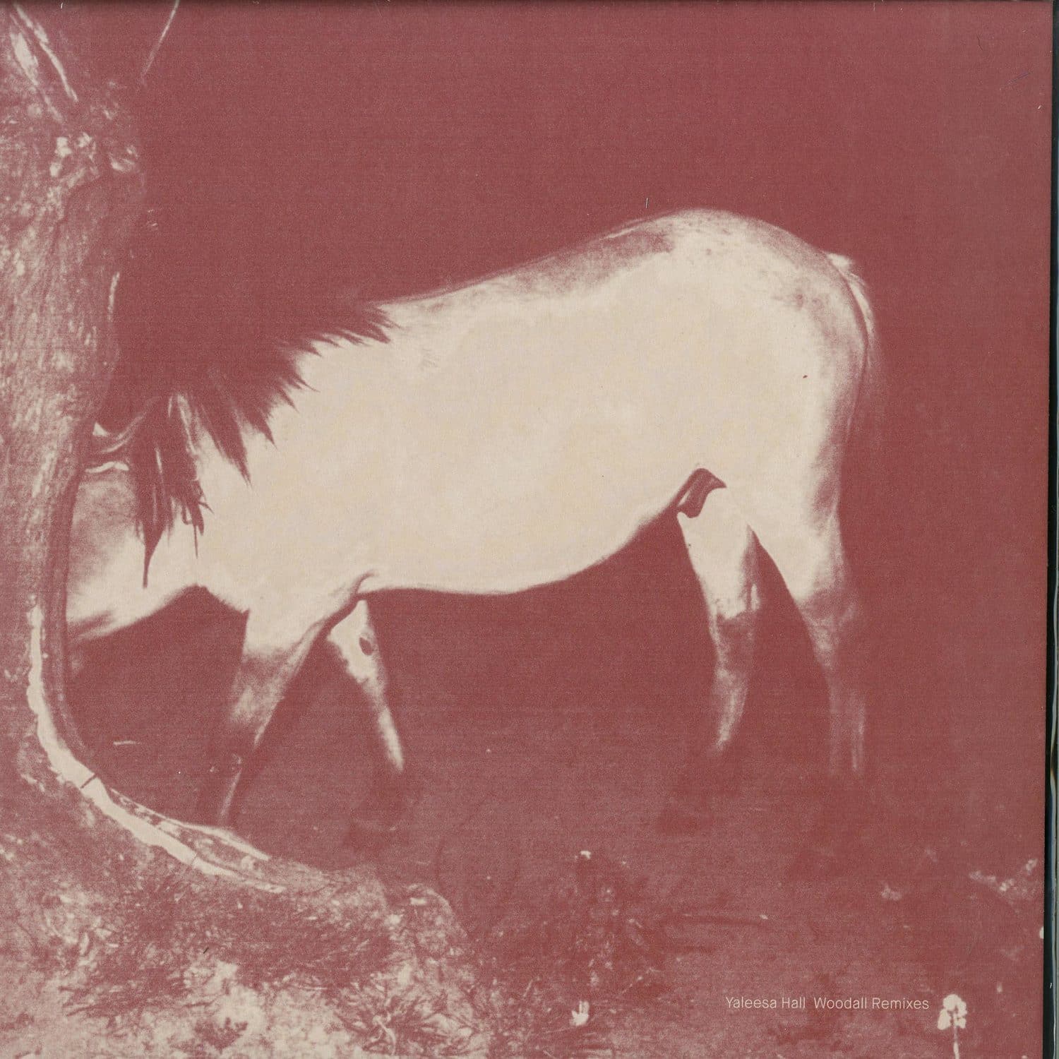 Yaleesa Hall - WOODALL REMIXES