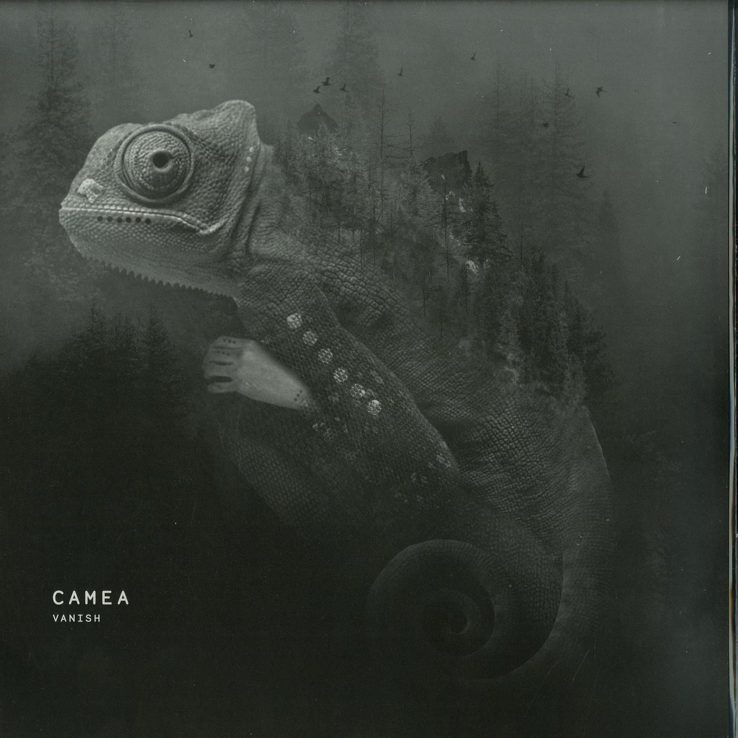 Camea - VANISH EP