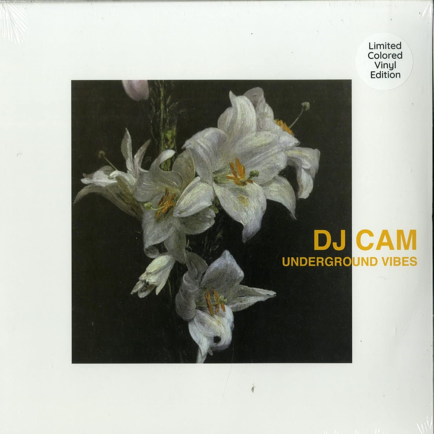 DJ Cam - UNDERGROUND VIBES 