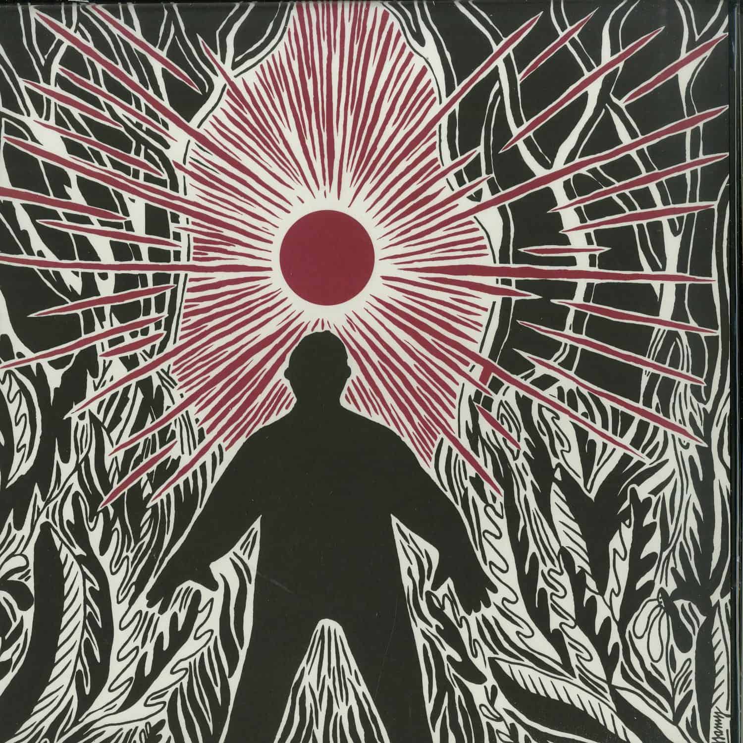 Alec Falconer - FLICKER ZONE