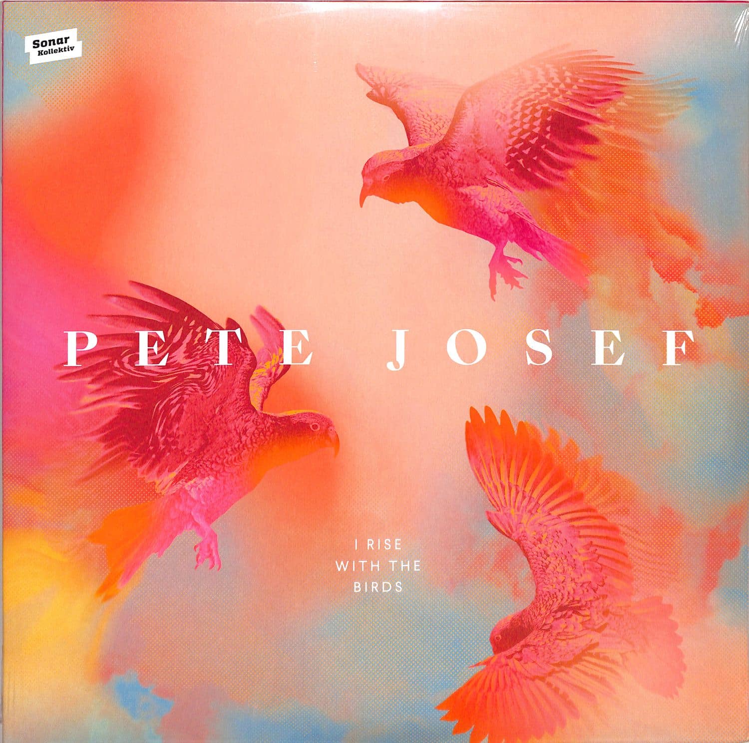 Pete Josef - I RISE WITH THE BIRDS 