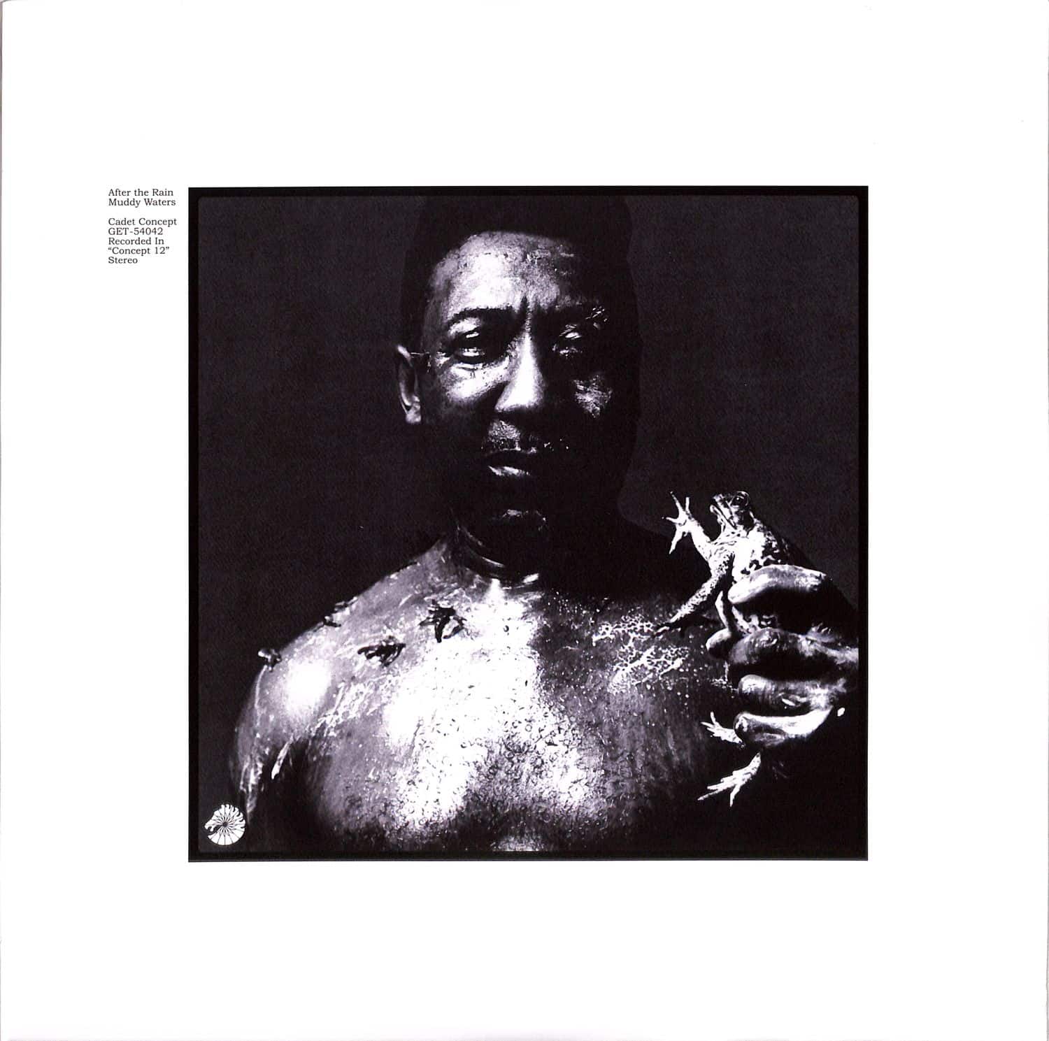 Muddy Waters - AFTER THE RAIN 