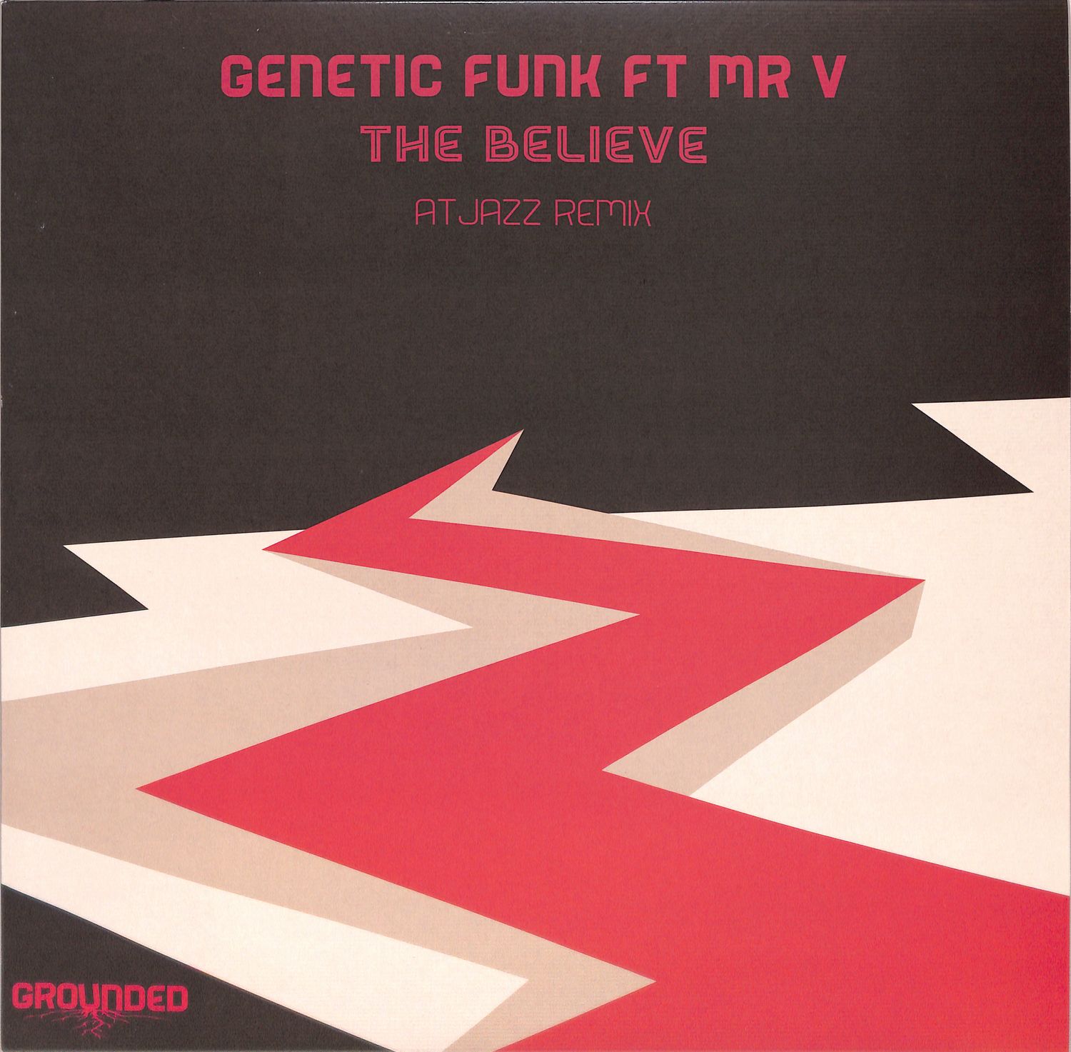 Genetic Funk Featuring Mr. V - THE BELIEVE 