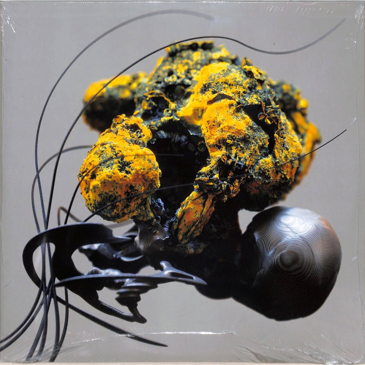Ahmet Sisman - THE THIRD SPACE 