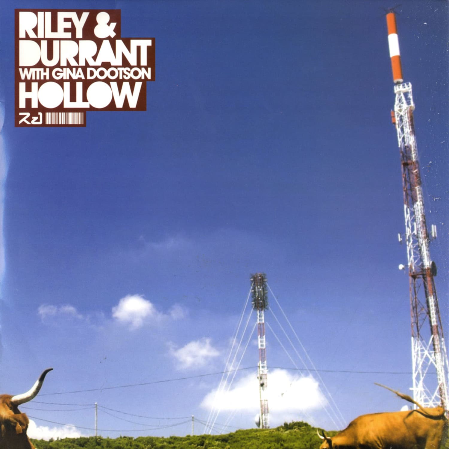Riley & Durrant - HOLLOW