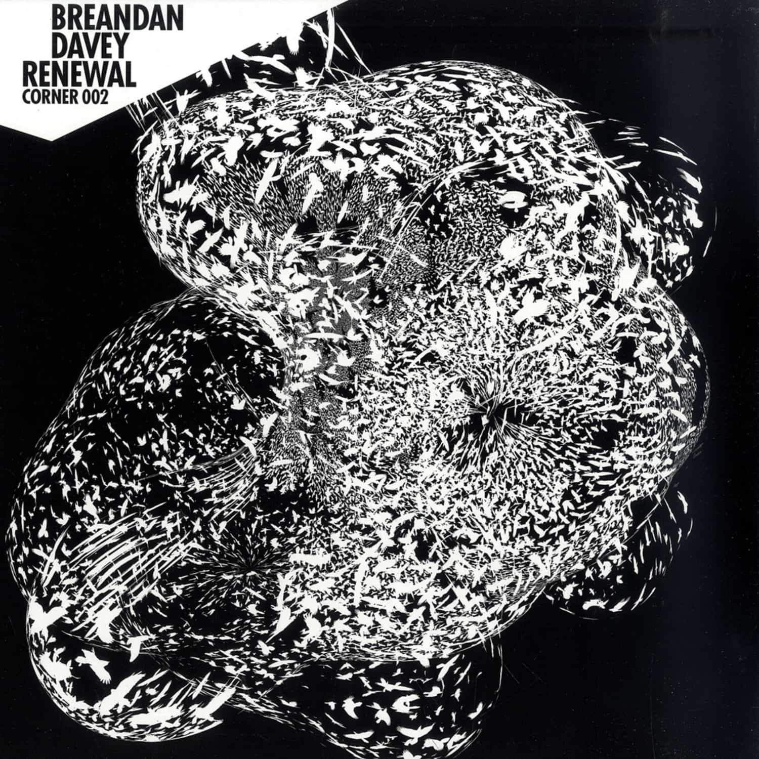 Breandan Davey - RENEWAL