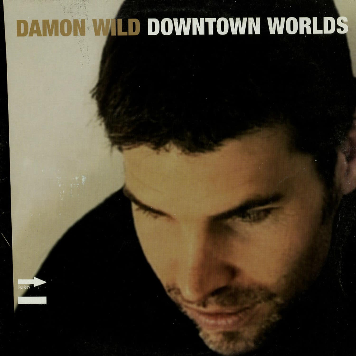 Damon Wild - DOWNTOWN WORLDS 