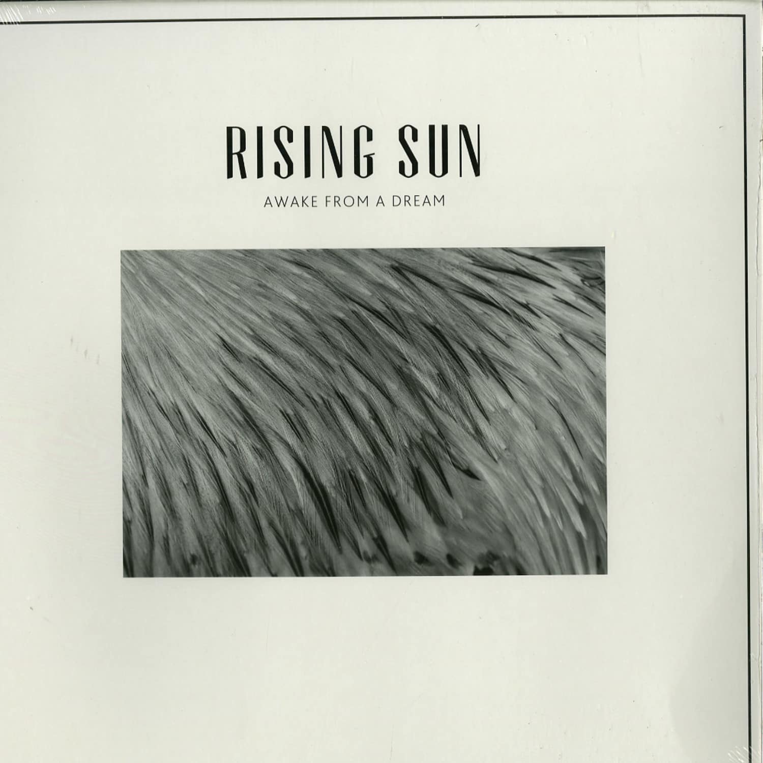 Rising Sun - AWAKE FROM A DREAM