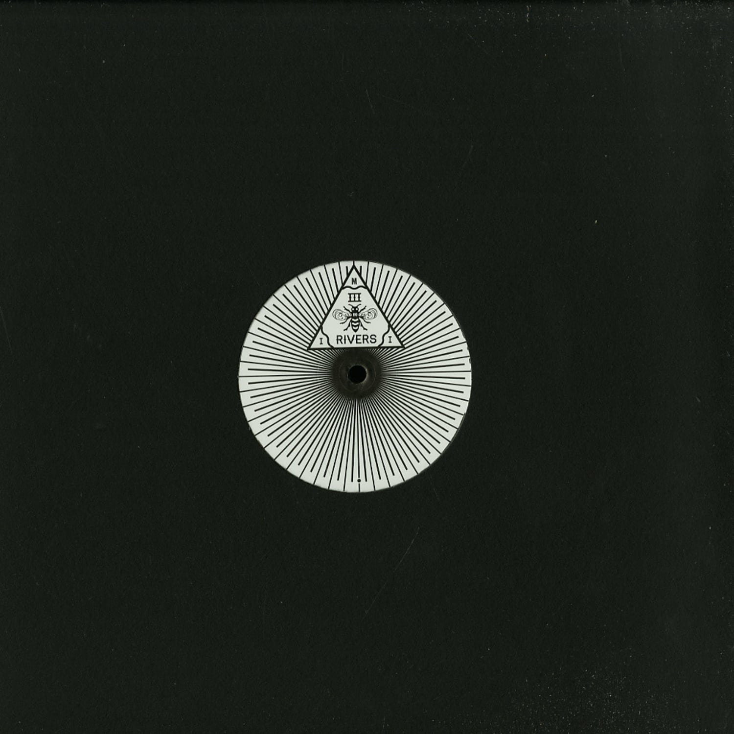 Voiceless - SHADOWS OF SOUND