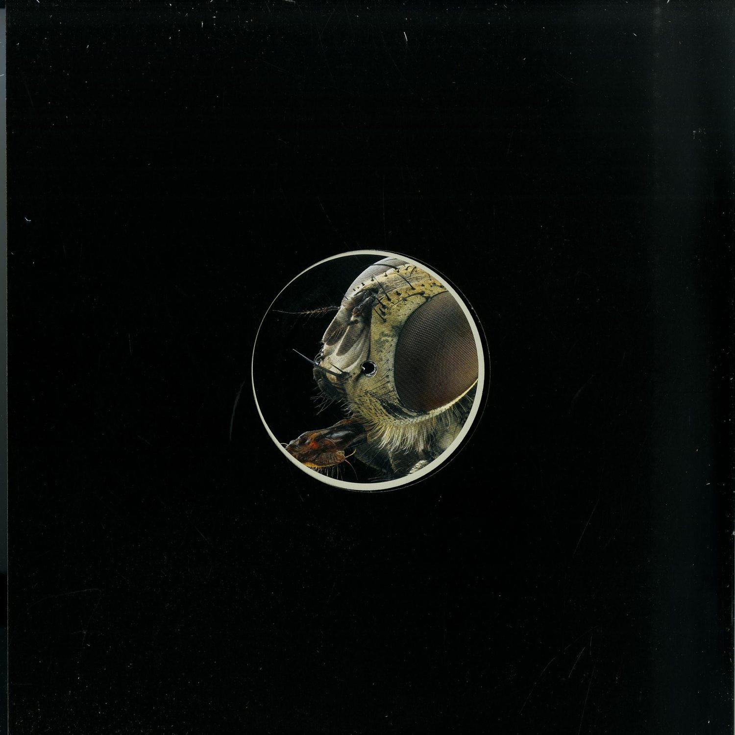 Arctor - MONACHOPSIS EP 