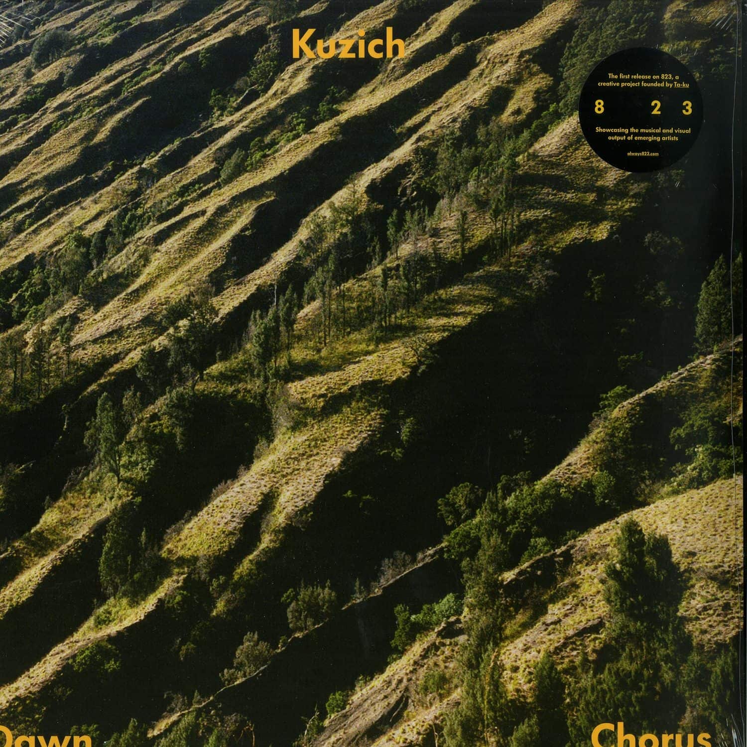 Kuzich - DAWN CHORUS 