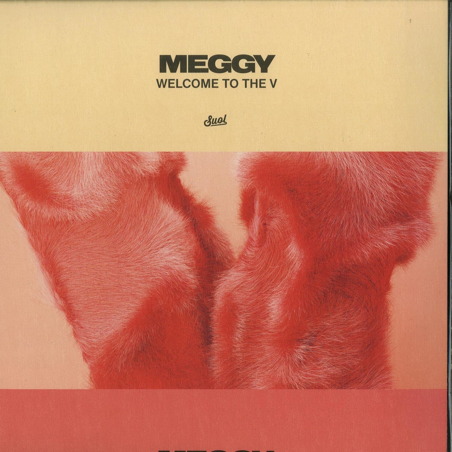 Meggy - WELCOME TO THE V